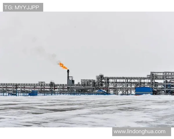 亚马尔地区的资源开发与国际合作前景分析与展望 亚马尔地区的资源开发与国际合作前景分析与展望