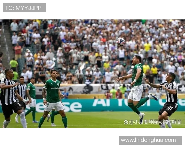 博塔弗戈与巴球队对决精彩瞬间回顾与赛后分析