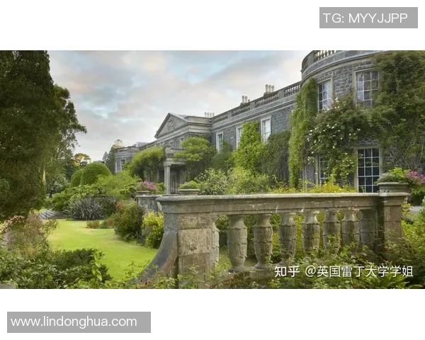 斯洛伐克与北爱尔兰激战正酣谁将赢得这场精彩对决