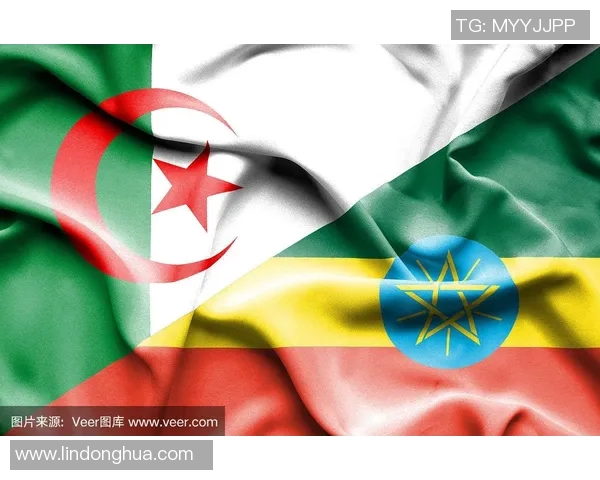 阿尔及利亚与俄罗斯的对抗赛分析及未来展望 阿尔及利亚与俄罗斯的对抗赛分析及未来展望