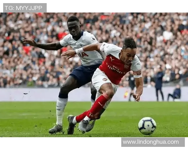 2019法国杯精彩对决兰斯与朗斯的巅峰对抗回顾与分析