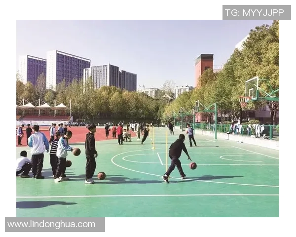 杭州排球队的阵地战揭秘：深度解析排球战术与团队协作MBA