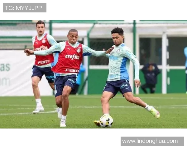 波特诺与帕梅拉斯精彩对决视频回顾及赛后分析分享