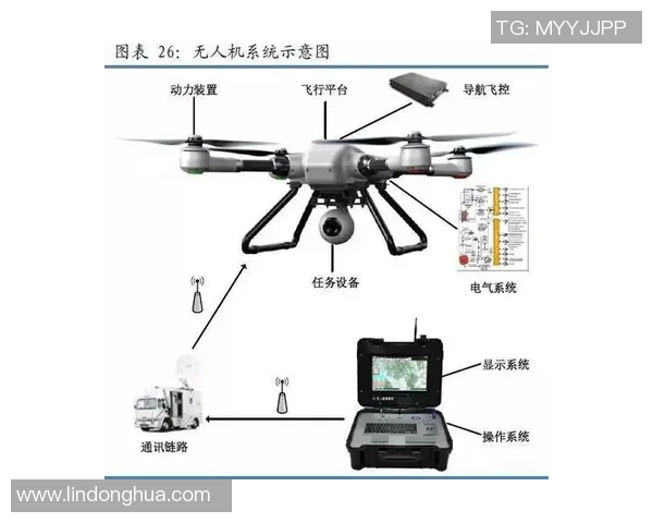 自由人与水星的深度对比分析与未来发展趋势探讨