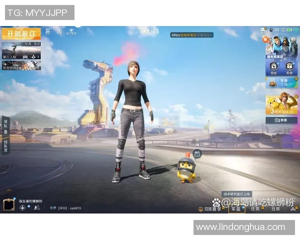 从零起步掌握和平精英耐力技巧全解析助你轻松上手游戏之旅