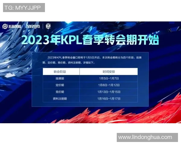 DOTA2专题：深入分析FPX团队协作的成功秘诀与战术配合
